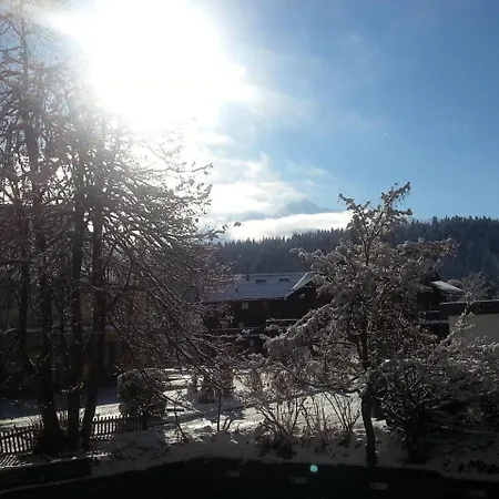 Flims113 Apartment